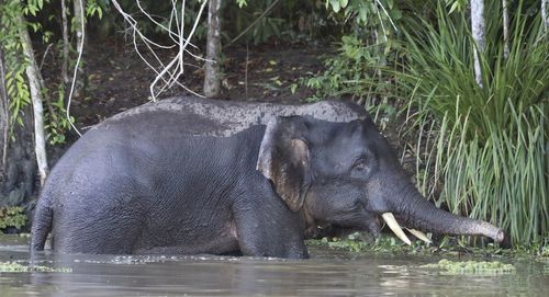 View of drinking water in lake