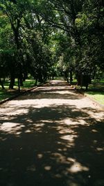 Road passing through forest