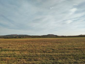 Scenic view of field against sky