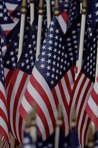 Close-up of flag