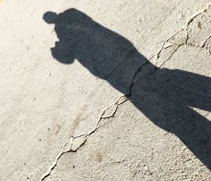 Shadow of cat on sand