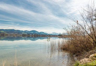 Pfaeffikon, canton zurich, switzerland, april 10, 2023 stunning view across the lake pfaeffikersee 