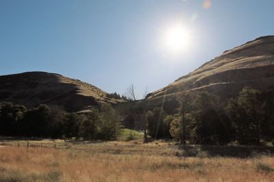 Scenic view of landscape against clear sky on sunny day