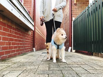 Low section of man standing on sidewalk