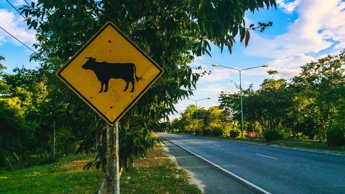 Road sign by trees against sky in city