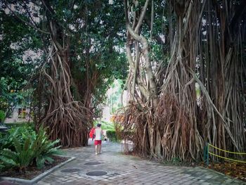 Rear view of woman walking on footpath