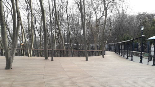 Footpath amidst bare trees in park