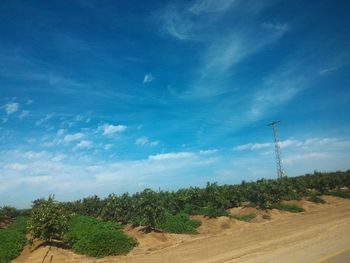 Scenic view of landscape against cloudy sky