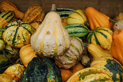 Close-up of pumpkins for sale at market stall