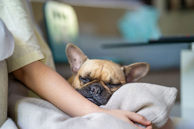 Midsection of person sleeping with dog