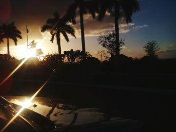 Silhouette of trees at sunset