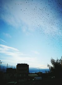 Flock of birds against sky