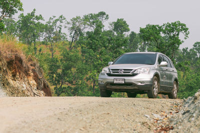 Car on road amidst trees against sky in city