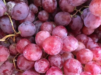 Full frame shot of red grapes at market
