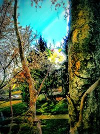 Trees by flowers against sky