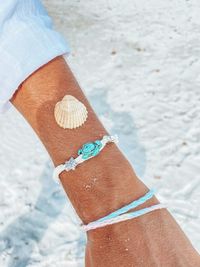 Seashell on woman hand