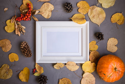 Colorful autumn pattern made of pumpkins, cones, leaves and rowan on gray frame, copy concept.