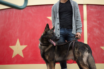 Midsection of man standing with belgian malinois against wall