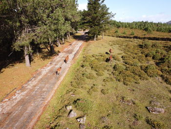 High angle view of people walking on road