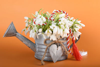 Close-up of flowering plant on table against orange background