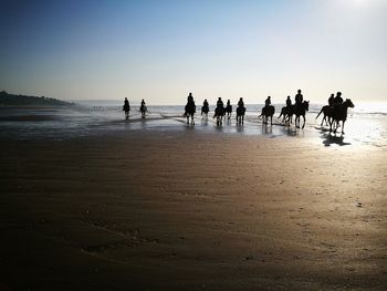 Silhouette people riding horses at beach against clear sky during sunset