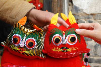 Cropped hand holding animal bags at market