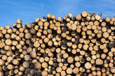 Full frame shot of firewood