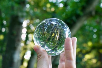 Cropped image of hand holding crystal ball against trees