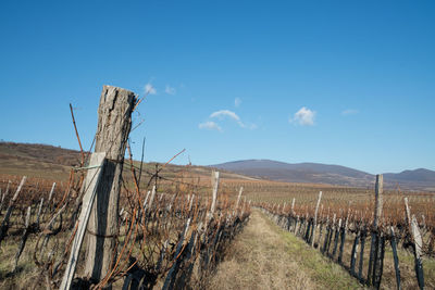 Windmill on field against clear blue sky