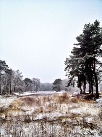 Scenic view of snow covered landscape