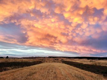 Scenic view of field against sky during sunset