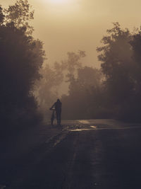 Silhouette man walking on road by trees against sky