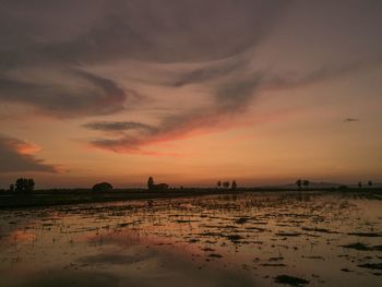 Scenic view of beach against sky during sunset