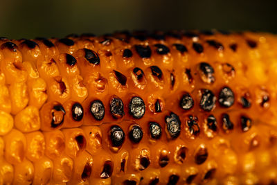 Close-up of corn