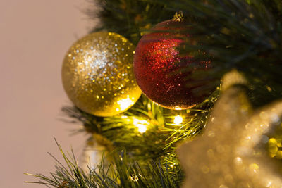 Close-up of christmas tree