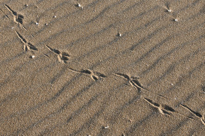 High angle view of sand on land