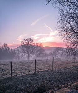 A frozen misty field at sunrise. 