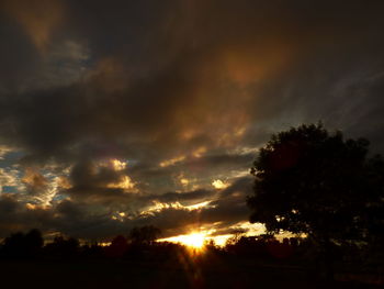 Low angle view of silhouette trees against sky during sunset
