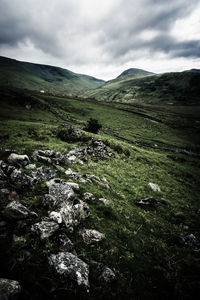 Scenic view of landscape against sky