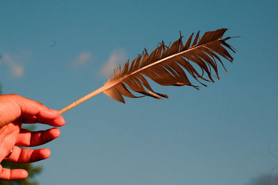 Close-up of hand holding leaf against clear blue sky