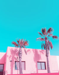 Low angle view of palm tree and building against blue sky