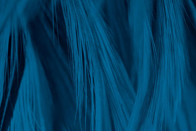 Full frame shot of abstract feather background