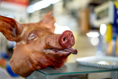 Close-up of pig head in butchers shop