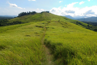 Scenic view of landscape against sky