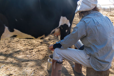 Rear view of farmer milking cow at farm
