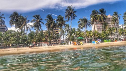 Palm trees by swimming pool against sky