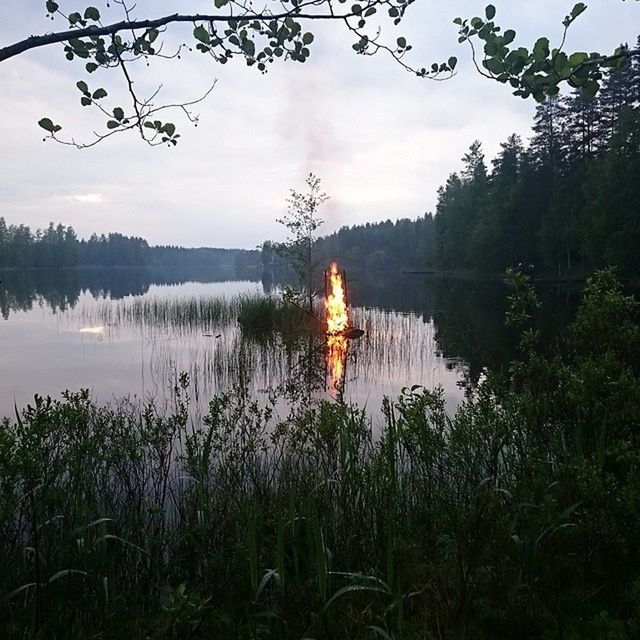 Juhannuskokko