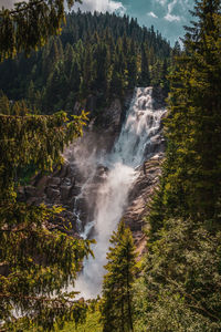 Scenic view of waterfall in forest