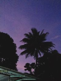 Low angle view of silhouette palm trees against sky at night