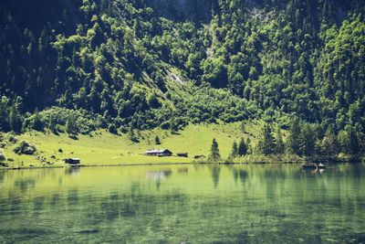 Scenic view of lake